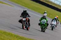 PJ-Motorsport-2019;anglesey-no-limits-trackday;anglesey-photographs;anglesey-trackday-photographs;enduro-digital-images;event-digital-images;eventdigitalimages;no-limits-trackdays;peter-wileman-photography;racing-digital-images;trac-mon;trackday-digital-images;trackday-photos;ty-croes